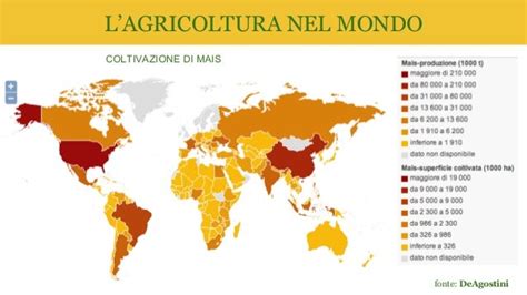 Mappa mondiale delle principali aree di coltivazione di banane