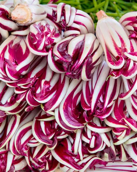 Radicchio di Treviso IGP