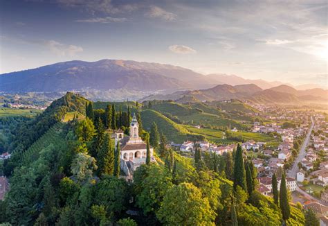 Vigneto Glera in Conegliano Valdobbiadene