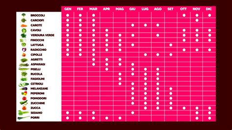 Calendario stagionale che mostra i mesi di raccolta del radicchio