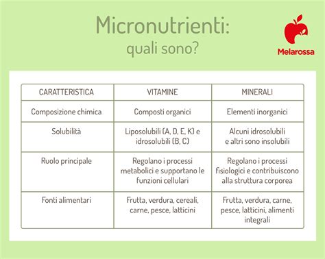 Infografica che mostra i principali nutrienti presenti nel radicchio rosso