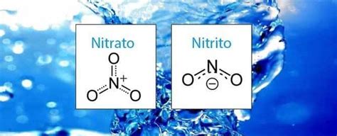 Schema chimico dei nitrati e nitriti