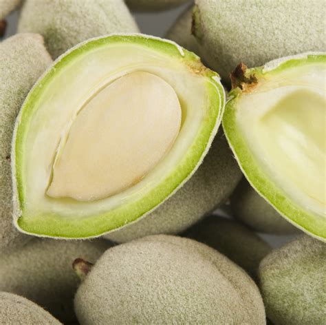Mandorle fresche ancora nel loro mallo