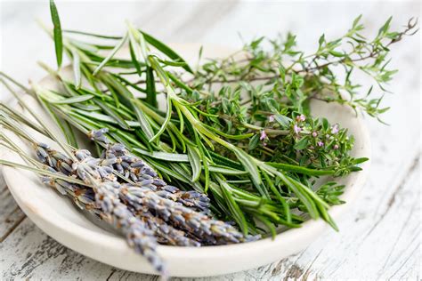 Varietà di erbe aromatiche