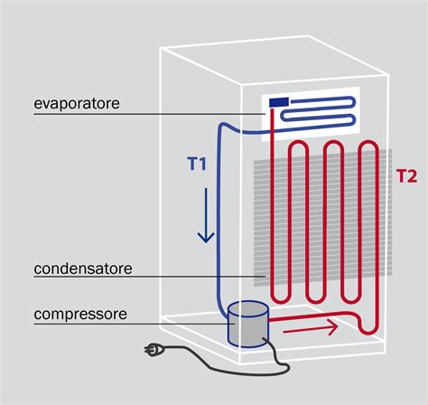 Schema che illustra le diverse zone di temperatura all'interno di un frigorifero e le tipologie di formaggio da collocare in ciascuna.