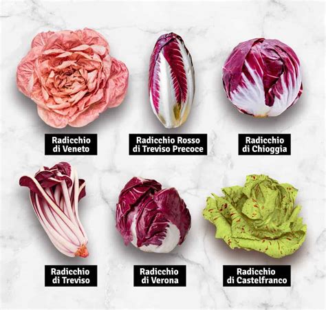Diverse varietà di radicchio rosso