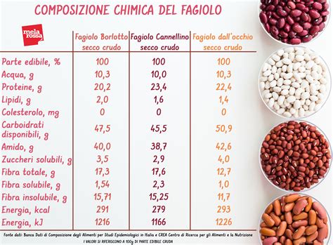 Infografica con i valori nutrizionali dei fagioli rossi