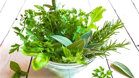 Erbe aromatiche fresche: rosmarino e salvia