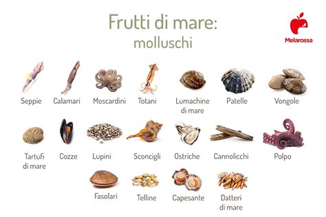 Un'infografica che mostra diverse opzioni di verdure e frutti di mare che possono essere utilizzate per preparare il couscous.
