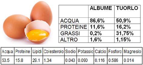 Composizione nutrizionale di un uovo