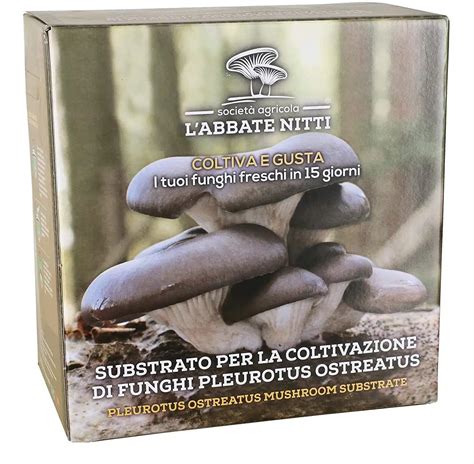 Illustrazione del corretto posizionamento e dei tagli su una balletta di funghi