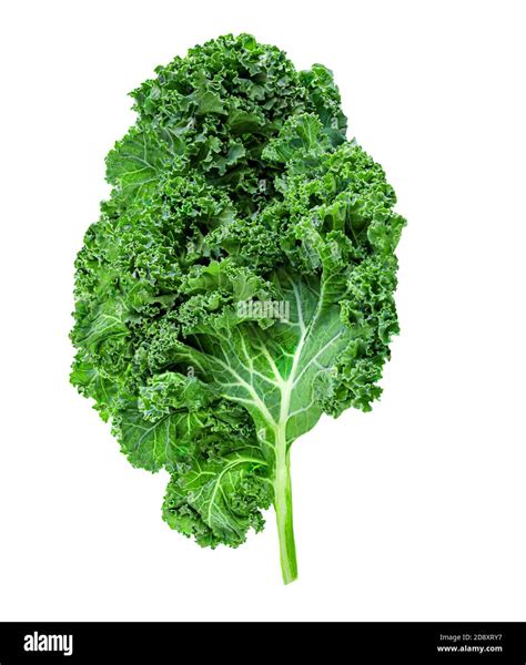 Foglie di kale