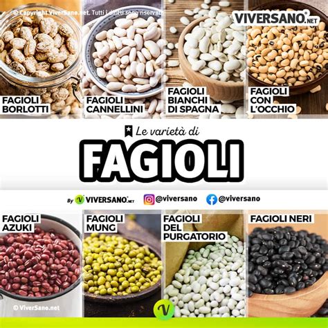Infografica sui benefici nutrizionali dei fagioli
