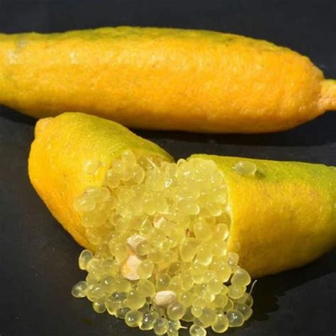 Caviale di limone in primo piano