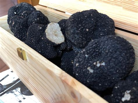 Tartufo nero intero con terra