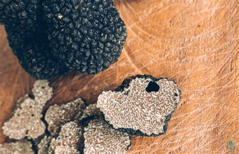 Tartufi avvolti in carta assorbente in un contenitore ermetico