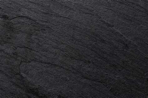 Suino Casertano di colore grigio ardesia