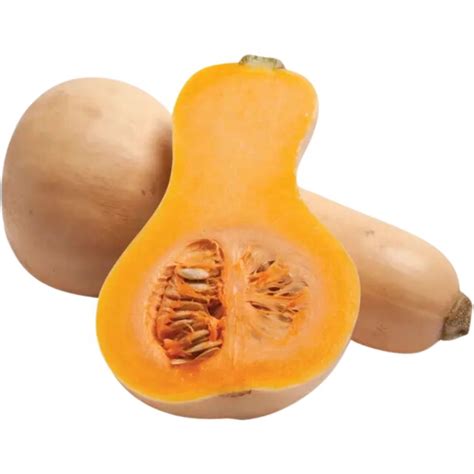 Immagine di zucca Butternut
