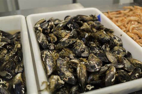 Cozze fresche in un cesto