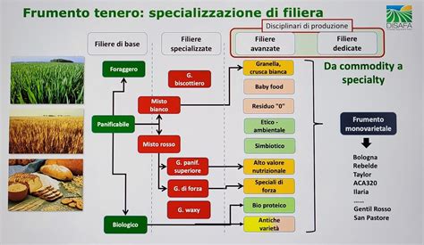 Diagramma della filiera alimentare con punti di potenziale contaminazione da Listeria