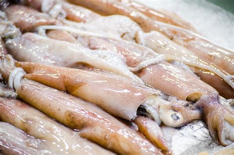 Calamari freschi su un letto di ghiaccio