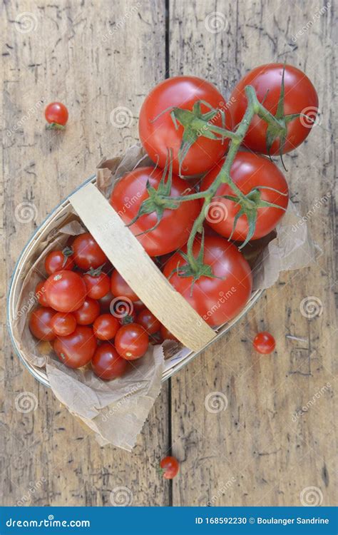 Pomodori freschi in un cesto
