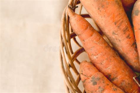 Carote fresche in un cesto