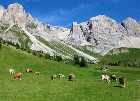 Paesaggio montano abruzzese con pascoli