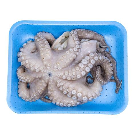 Immagine di polpo fresco e surgelato