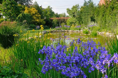 Un rigoglioso giardino con fiori colorati e un laghetto