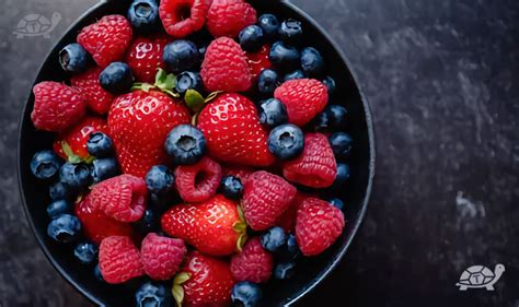 Frutti di bosco freschi e succosi