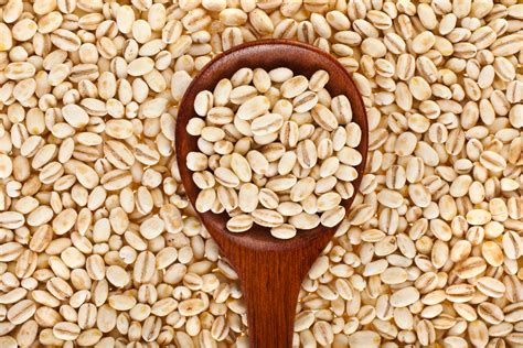 Chicchi di orzo tostati