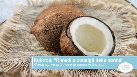 Sezione trasversale di una noce di cocco con le sue parti distinte: guscio, polpa e acqua