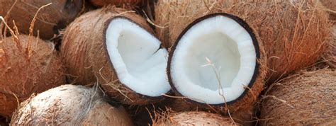 Noci di cocco fresche disposte per la vendita