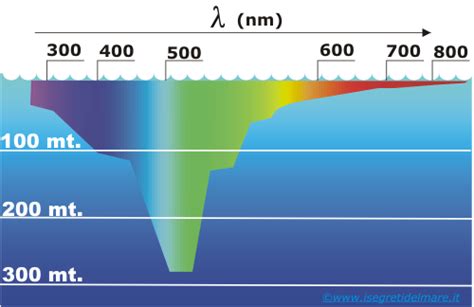 Grafico comparativo della penetrazione delle diverse lunghezze d'onda nell'acqua di mare