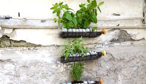 struttura di bottiglie di plastica per orto verticale