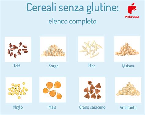 Infografica che mostra gli alimenti contenenti glutine e quelli naturalmente privi