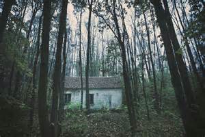 Casa sull'albero moderna immersa nel bosco con vista sulle montagne