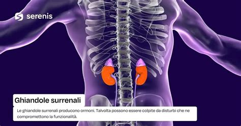 Ghiandole surrenali e tiroide