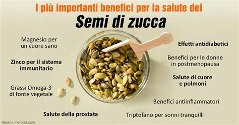 Diagramma che illustra i benefici dei semi di zucca per la prostata