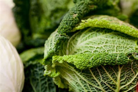 Verza fresca in un mercato