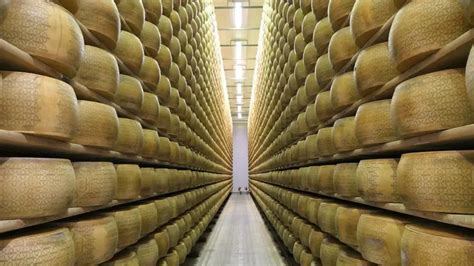 Forme di Grana Padano in fase di stagionatura