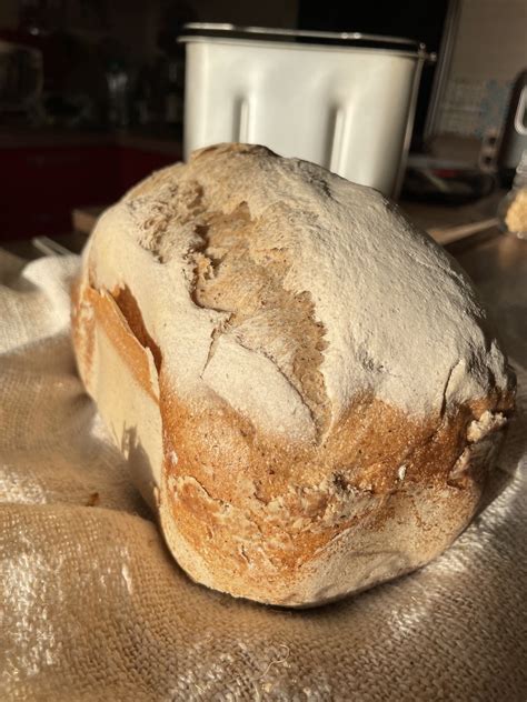 massa di pane che non lievita