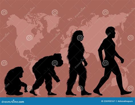 Illustrazione schematica dell'evoluzione umana