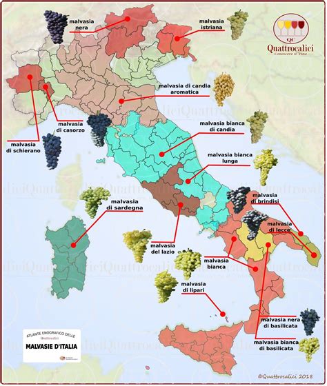 Mappa delle principali zone di produzione di cozze in Italia