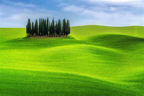 Paesaggio della campagna toscana con uliveti e colline