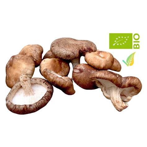 funghi shiitake biologici