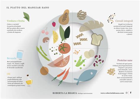 Infografica sulla composizione di un semifreddo
