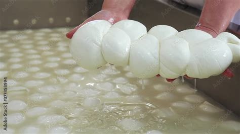 Formaggio filante durante la lavorazione manuale della mozzarella