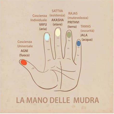 Mudra delle mani di Buddha